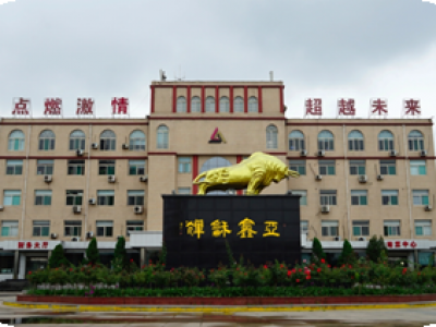 山西亚鑫能源集团有限公司